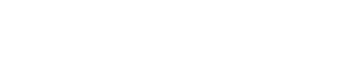 Nimble Innovation logo